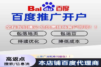 SEM竞价优化技巧分享：成功案例揭秘